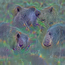 n02132136 brown bear, bruin, Ursus arctos